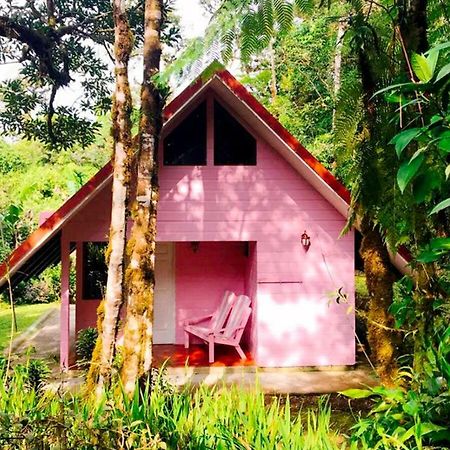 Cabanas Las Orquideas Zapotal  Екстер'єр фото