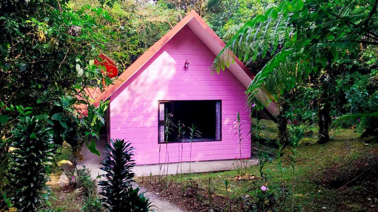 Cabanas Las Orquideas Zapotal  Номер фото