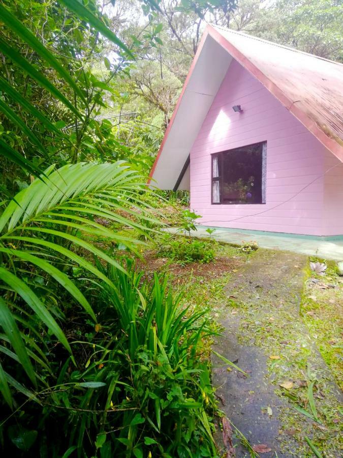Cabanas Las Orquideas Zapotal  Номер фото