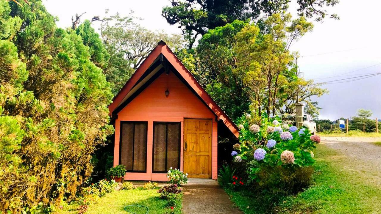 Cabanas Las Orquideas Zapotal  Номер фото