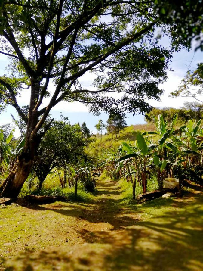 Cabanas Las Orquideas Zapotal  Екстер'єр фото