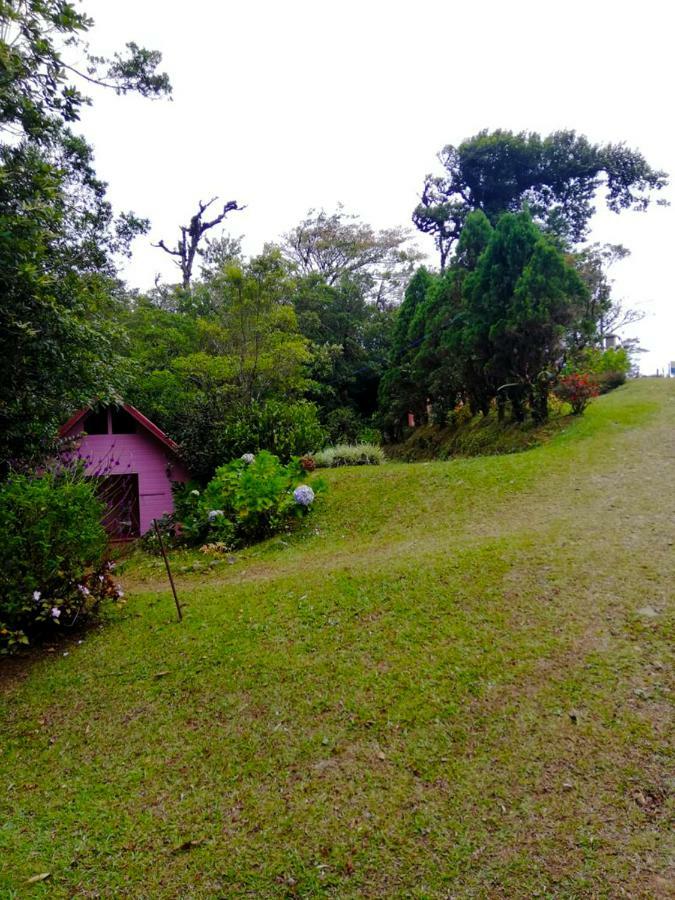 Cabanas Las Orquideas Zapotal  Екстер'єр фото