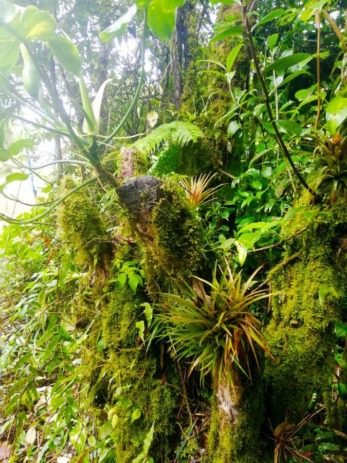 Cabanas Las Orquideas Zapotal  Екстер'єр фото