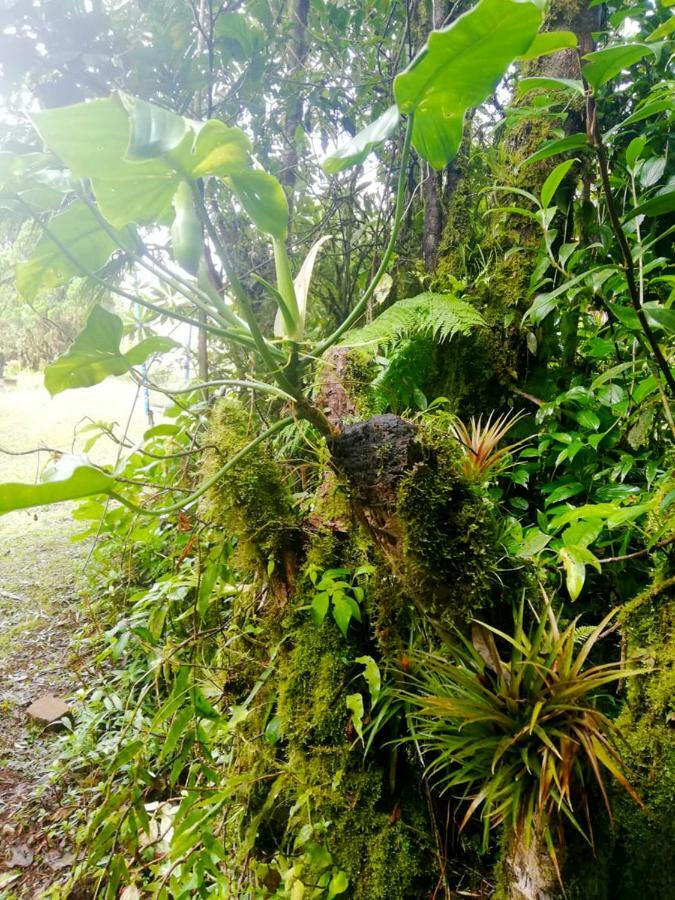 Cabanas Las Orquideas Zapotal  Екстер'єр фото